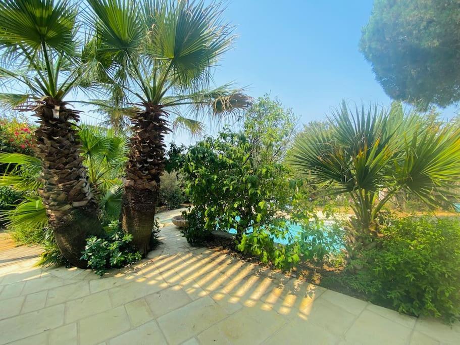 Atlantide - Somptueuse Villa Classee 4 Etoiles - Saint-Clair - Vue Exceptionnelle - Piscine Sète Exterior foto